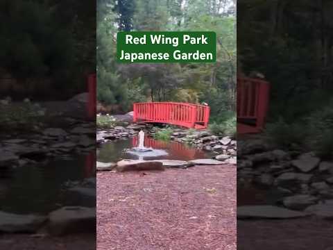 Red Wing Park Japanese Garden #shorts #virginiabeach #parksandrecreation #japanesegarden #parks