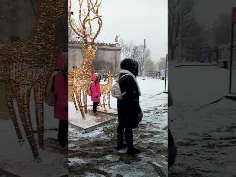 #Новогодняя_ярмарка #Сказочные_олени #ВДНХ #1января2025 #shorts #viral #live