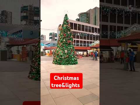 Huge Christmas tree & Xmas lights #shortsvideo