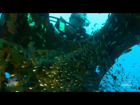 Betty Bomber, Truk Lagoon. Dive this Japanese WWII plane wreck with Blue Lagoon Dive Shop.