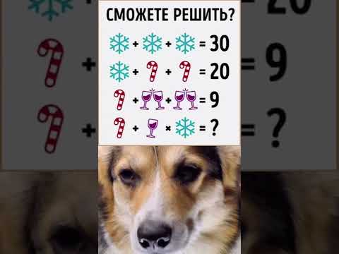 СМЕШНЫЕ ЖИВОТНЫЕ | СМОЖЕШЬ РЕШИТЬ?