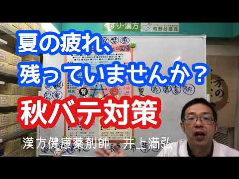 【秋バテ対策】夏の疲れ、残ってませんか？