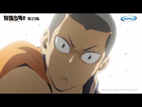 ANIMAX《排球少年!!》田中龍之介 最佳好球 Part 3 #中文配音