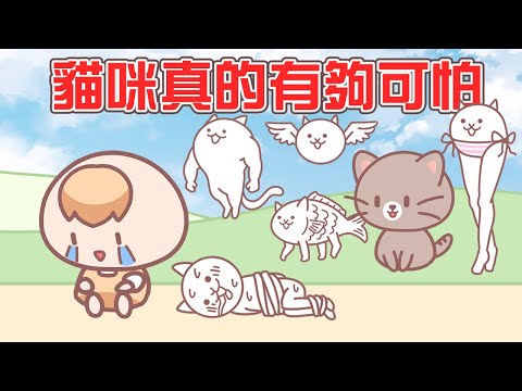 《茶里小動畫》我搞不懂貓咪這種兇殘的生物｜FT.貓咪大戰爭