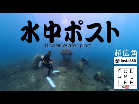 【超広角】insta360で撮影したアメッドの水中ポスト　#バリ島 #アメッド #insta360x4