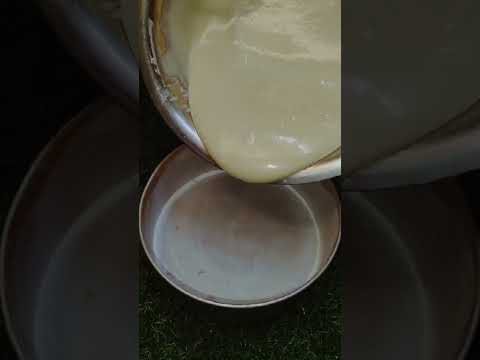 # The Making of egg less cake#any time cake making recipe#viral cake recipe #yummy cake recipe 😋😋😋