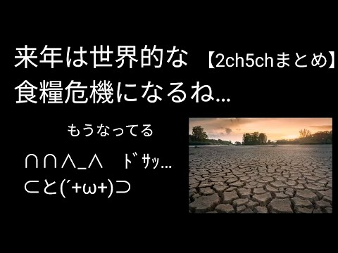 来年は世界的な食糧危機になるね｜いやもうなってるから…【2ch5chまとめ】【バブニュース】