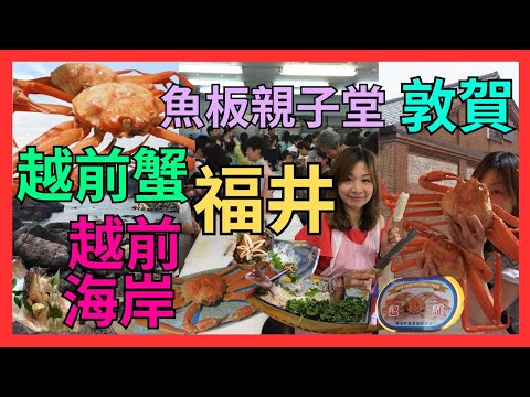 [福井 景點 美食 推介] 親子課推介 敦賀魚糕製作工作坊| 絕景打卡 越前海岸| 必食 海の幸|  越前海岸日落酒店開箱 超豪華一泊兩食 老闆整晚唱歌比你聽| 初試 福井名物 越前蟹| 敦賀紅磚倉庫