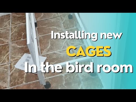 #11 Breeding season 22/23 - Changes in the bird room!