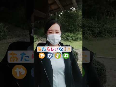 【TikTok】だんごちゃん、改名します/TikTok #shortmovie #81