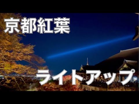 【2021年京都紅葉】絶対に行くべき清水寺ライトアップThe popular Kiyomizu-dera Temple light-up in Kyoto