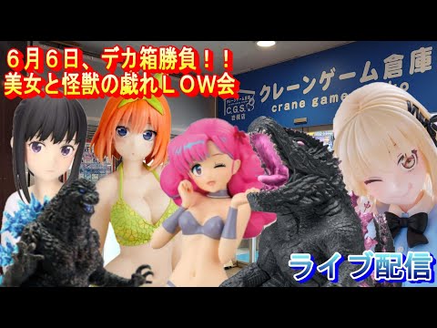 クレーンゲーム倉庫岩槻店で美女と怪獣と戯れる配信