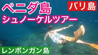 🇮🇩バリ島50代ひとり旅/ペニダ島•３スポットシュノーケルツアー（レンボンガン島発）/レンボンガン島散策/インドネシア