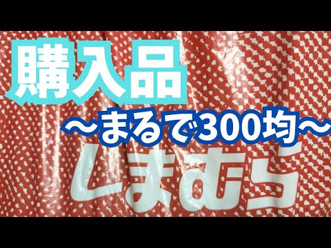 【しまむら購入品】330円祭り‼️お得な値下げ品を購入‼️