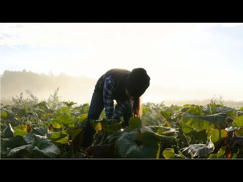 Agriculture, Food, and Natural Resources Careers | Career Cluster/Industry Video Series