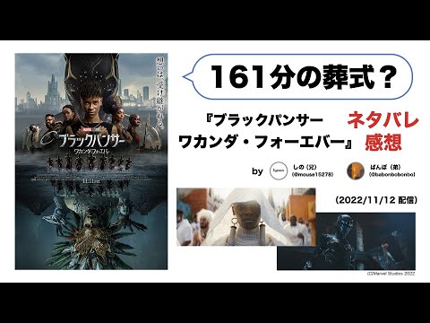 【ネタバレ感想】「面白くない」から誠実？斬新なヒーロー映画『ブラックパンサー／ワカンダ・フォーエバー』