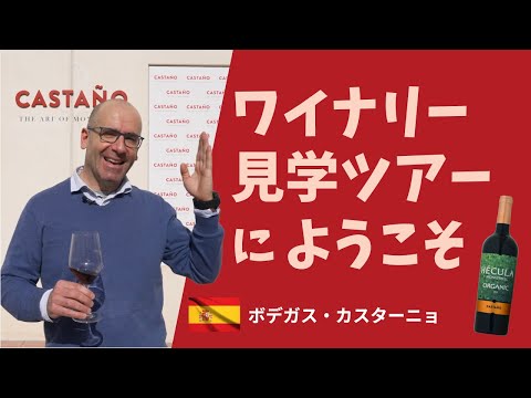 【ワイナリー見学ツアー】ボデガス・カスターニョへようこそ！（字幕版）