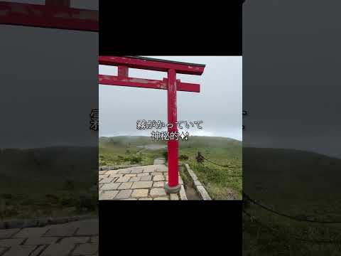 箱根ぶらり日帰りひとり旅！ #vlog #女ひとり旅