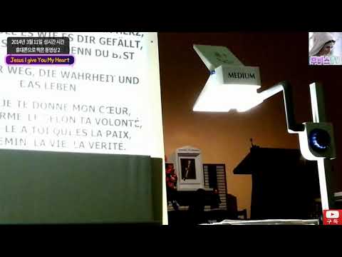 #메주고리예 2014년 3월11일 성시간 시간 휴대폰으로 찍은 동영상 2 (Jesus I give You My Heart)