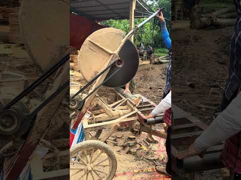 Wood cutting #wood #woodworking #shortvideo #machine #woodindustry #woodcutting #intrusion