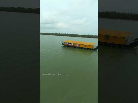 Discovering the Serenity of Valiyaparamba Backwaters