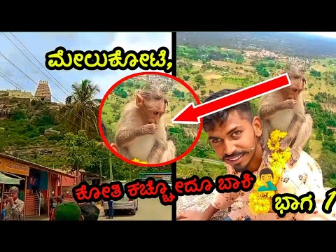 😇ತಲೆ ಮೇಲೆ ಏರಿ ಕುಳಿತ ಕೋತಿ 🤯🤯||mysore to melukote one day trip 😇