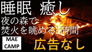 眠れない夜に焚き火を眺める　途中広告無し　(虫の音　木々のざわめき　超高音質　ASMR　眠れる　BGM　CAMP　作業BGM)