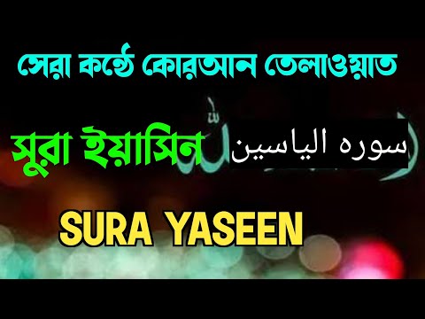 সেরা কন্ঠে সুরা ইয়াসিন কোরআন তেলাওয়াত | Sura Yaseen Quran Tilawat | Quran Recitation سورہ یسین