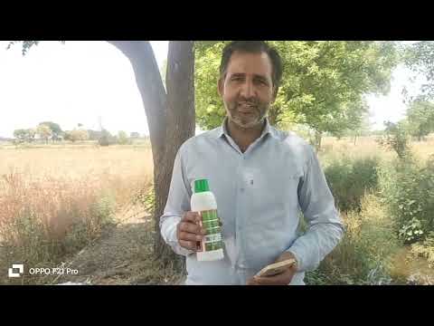 083 Farmer from Mathura District | Uttar Pradesh | Nano Urea Testimonial