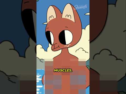 Muscles McQuack: Take your Clothes Off 👀