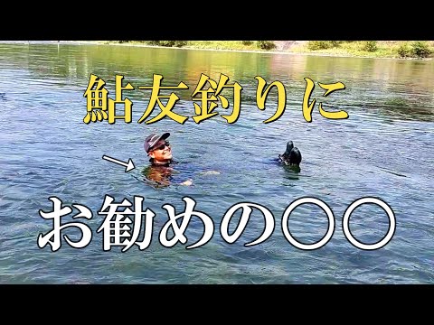 鮎釣り　引き釣り＆ボル引きはやっぱり釣れます【長良川 鮎之瀬】