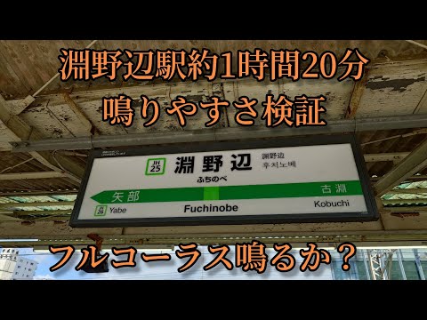 【フルコーラス鳴るか？】淵野辺駅で約1時間20分鳴りやすさ検証してみた結果  第51弾