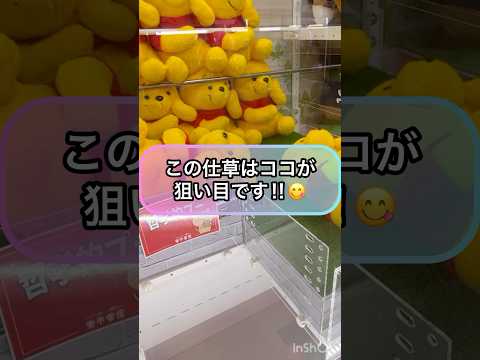 【クレーンゲーム攻略】この仕草はココが狙い目です‼︎