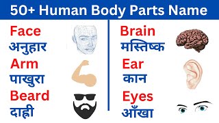 English मा मानव शरीरका अंगहरुको नाम | Human Body Parts Name Nepali  & English | Spoken English class