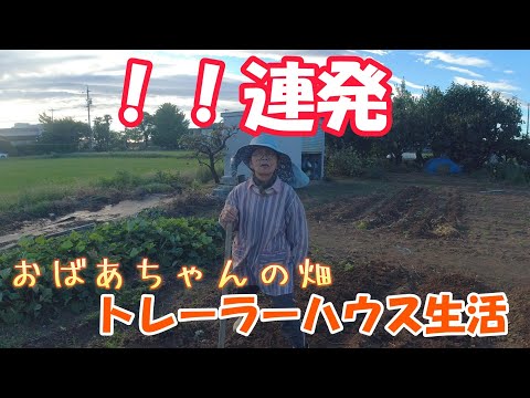 【トレーラーハウス生活】畑仕事に没頭中　集中しすぎて　#363