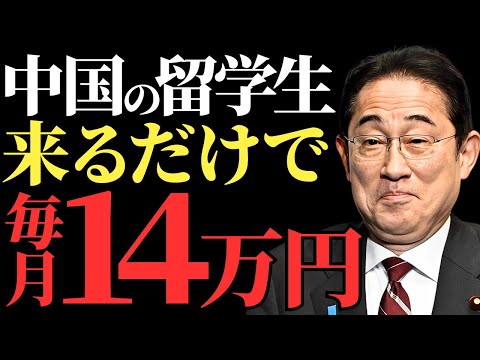 日本の税金が中国人留学生に消えている現実とは？日本人より優遇される外国人支援で浪費される税金の使い道【解説・見解】【岸田文雄・石破茂】