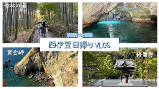 【伊豆】西伊豆を楽しむ！堂ヶ島クルーズに黄金岬．修善寺まで【観光】