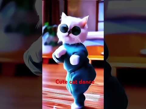 Cute cat dance# trending # Songs