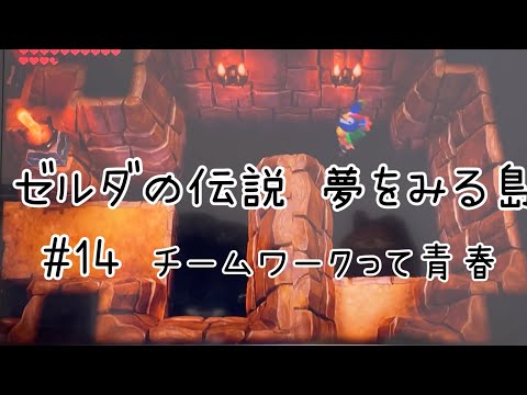 【ゲーム実況】ゼルダの伝説 夢をみる島#14【チームワークって青春】