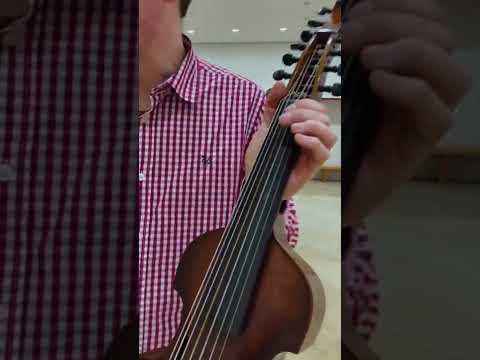 Introducing the Viola D’Amore