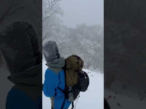 最強寒波の石鎚 夜明峠で撤退 動画は後日公開します。 #四国登山 #雪山