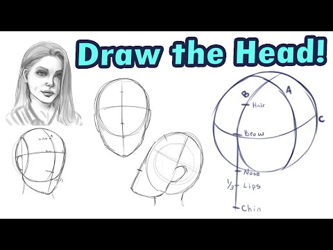 How to Draw a Head From Any Angle: Loomis Method Tutorial for Female and Male Heads in Any Art Style