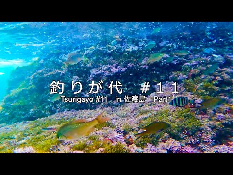 釣りが代＃１１　in 佐渡島　Part１（シュノーケリング編）