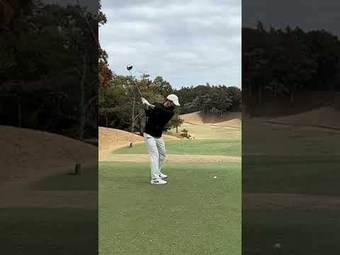 スロースイングslow swing #rorymcilroy #golfswing