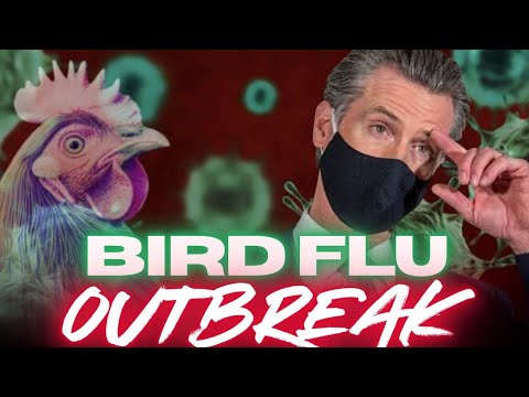 BIRD FLU!! California. STATE OF EMERGENCY. Pandemic. LIVE.