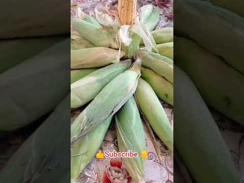 #Corn🌽 #Shortvideo #Sonucookings #subscribe🔔