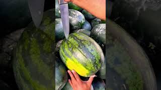 Watermelon #trending #video #farming #agriculture #amazing #fruit #shorts #kisan @kisannursery937