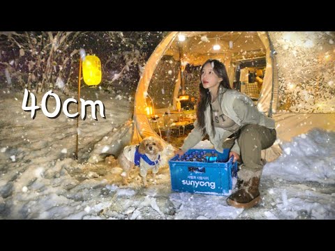 🌨❄️heavy snow camping  set up an igloo-like tent | a collapsed tent | Comment Event