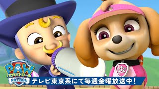 パウ・パトロール | パウ・パトロールの赤ちゃんレスキュー＆アドベンチャー！チェイスといっしょ #3 👶 １時間特集 | テレビ東京系にて放送中