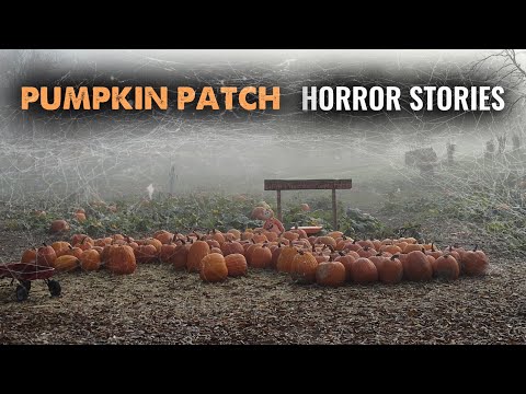 3 True Disturbing Pumpkin Patch Horror Stories